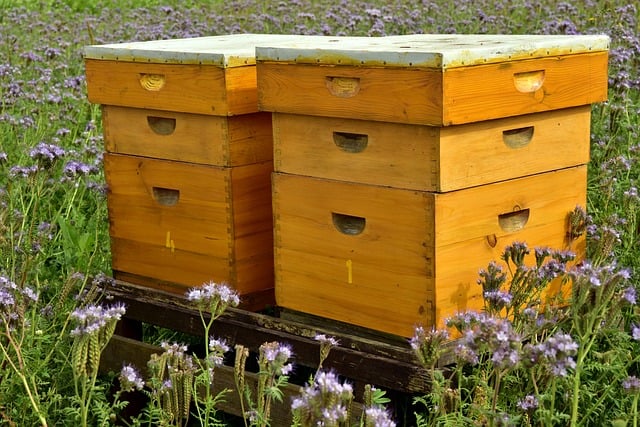 Home &raquo; Local Beekeepers