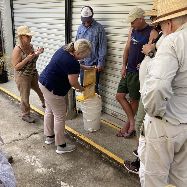 bee keeping lessons