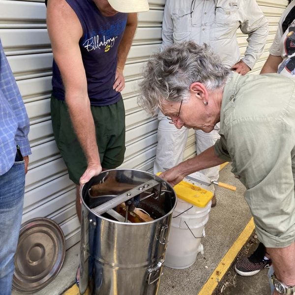 honey extraction